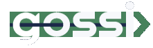 Igossi logo software that works